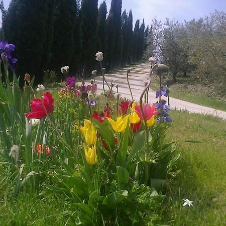Residence Ai Campi Da Golf Saturnia Zewnętrze zdjęcie