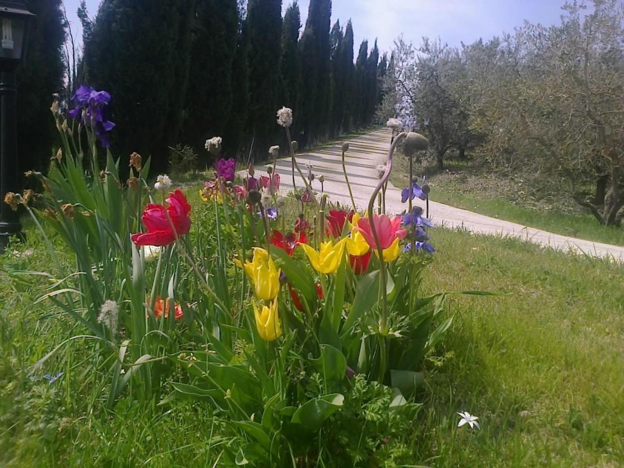 Residence Ai Campi Da Golf Saturnia Zewnętrze zdjęcie