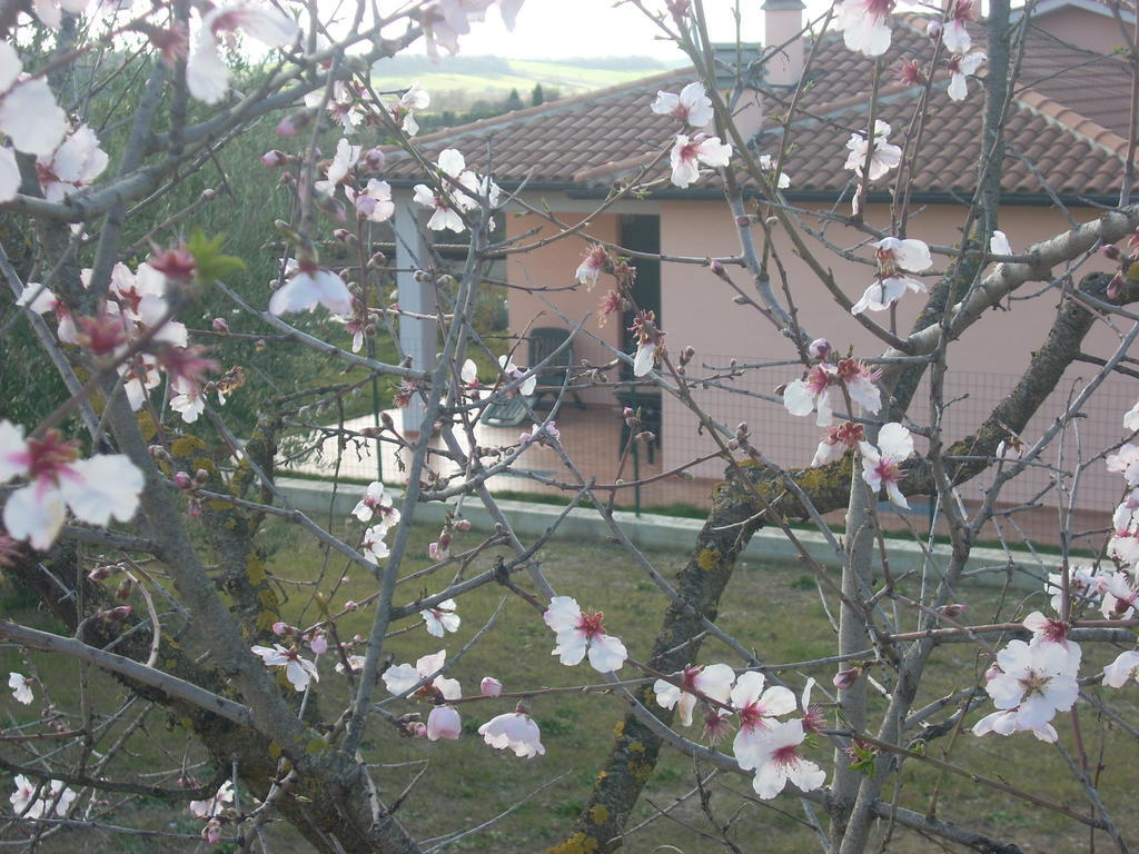 Residence Ai Campi Da Golf Saturnia Zewnętrze zdjęcie